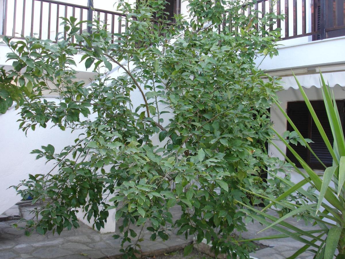 Dionysus-Mihanicus Ієрісос Екстер'єр фото
